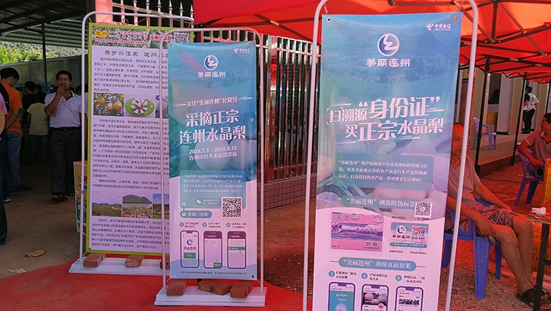 美丽连州5.png